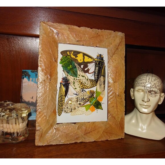 Vintage Art Print of Cicadas in Frame with Real Leaves goth witchy nature insect - Picture 7 of 10